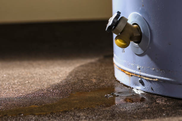 Best Water damage restoration near me  in Mayo, FL