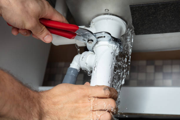 Best Flood damage cleanup  in Mayo, FL