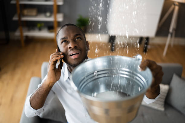  Mayo, FL Water damage restoration Pros