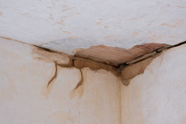 Best Water damage restoration process  in Mayo, FL