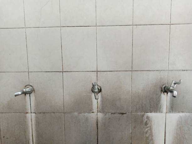 Best Flooded house restoration  in Mayo, FL