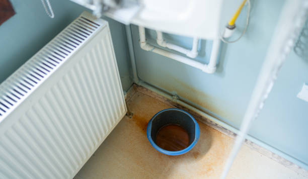 Best Carpet water damage restoration  in Mayo, FL