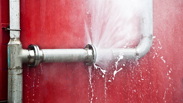 Best Residential water damage restoration  in Mayo, FL